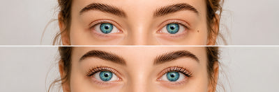 Wimpernlifting - Online-Kurs