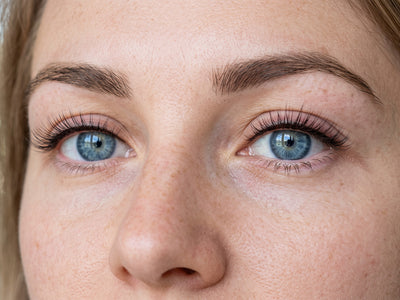 Wimpernkranz oben