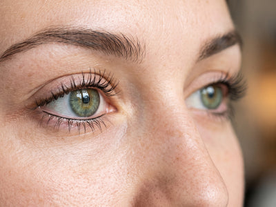 Wimpernkranz unten