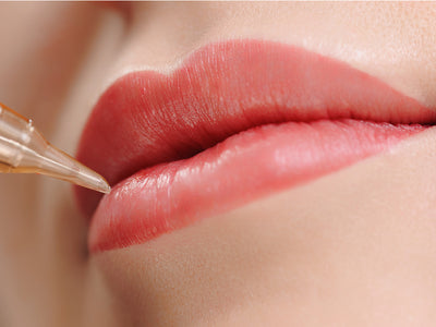 Lips (Transparent Look)