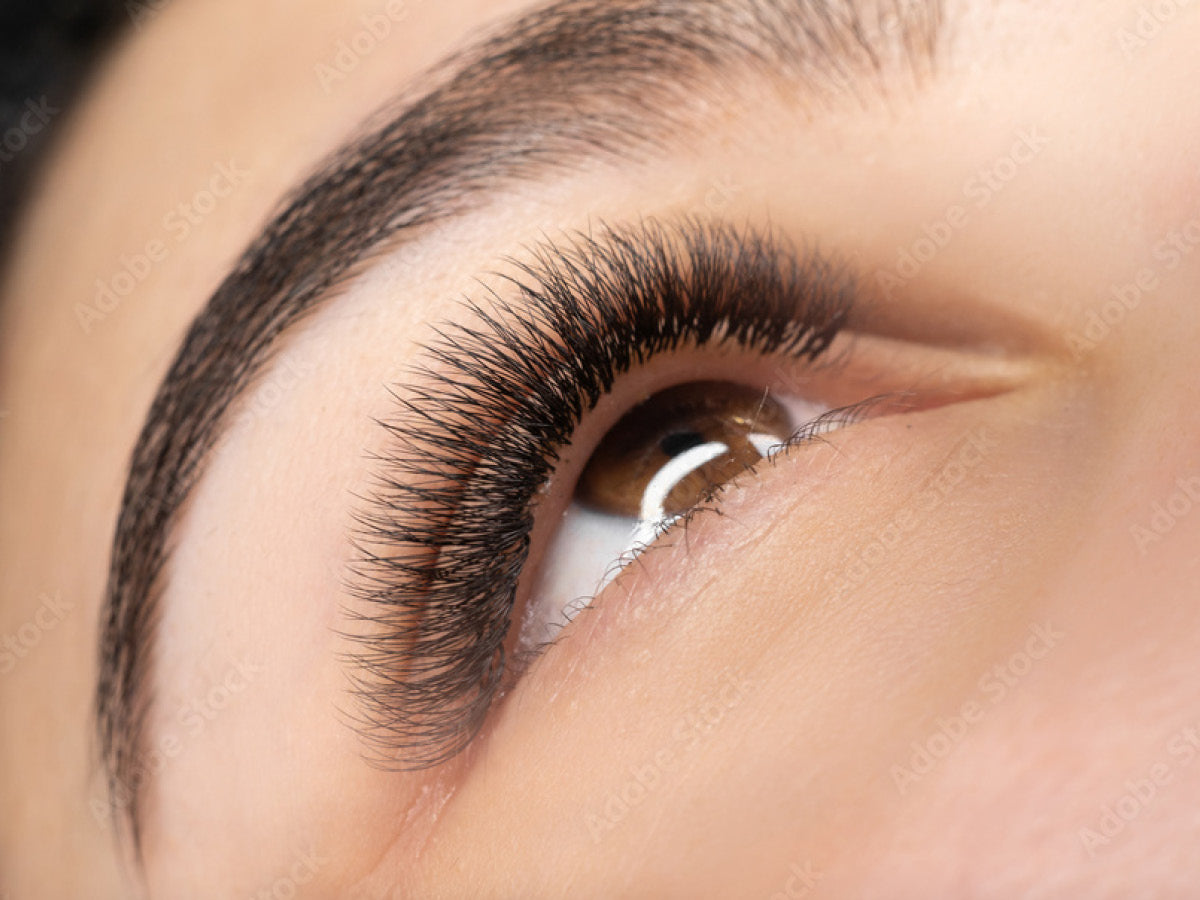 Image of Lashes Volumen 2D - 5D neues Set